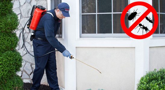 Helvacı Kene İlaçlama böcek ilaçlama ve haşere kontrolü — ilaclama-tr.com